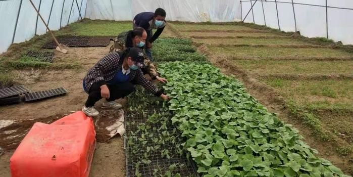 策勒最新招聘啟航人才新篇章，學(xué)習(xí)變化，擁抱自信與成就，啟程人生新征程！