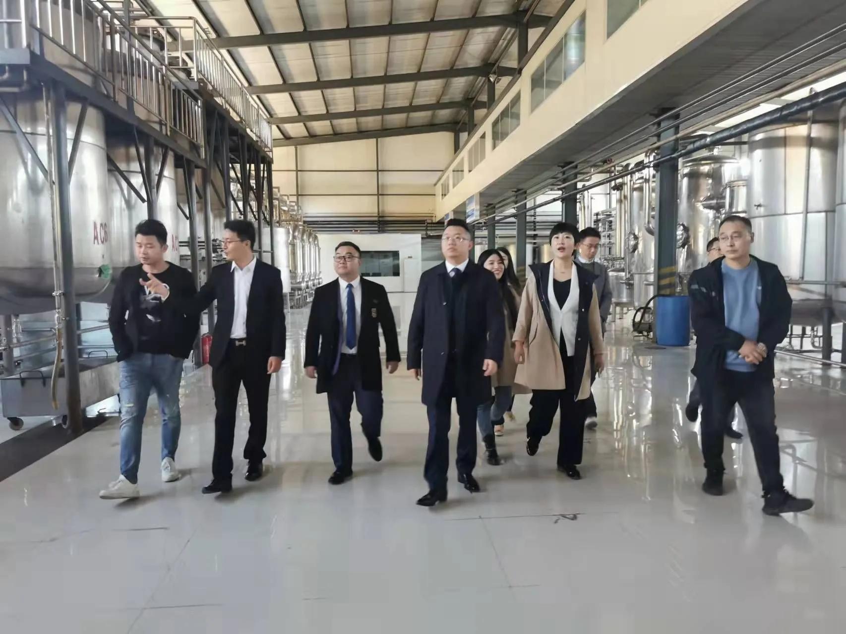 鼎恒升最新動態(tài)，追溯特定領(lǐng)域的發(fā)展歷程與重要地位