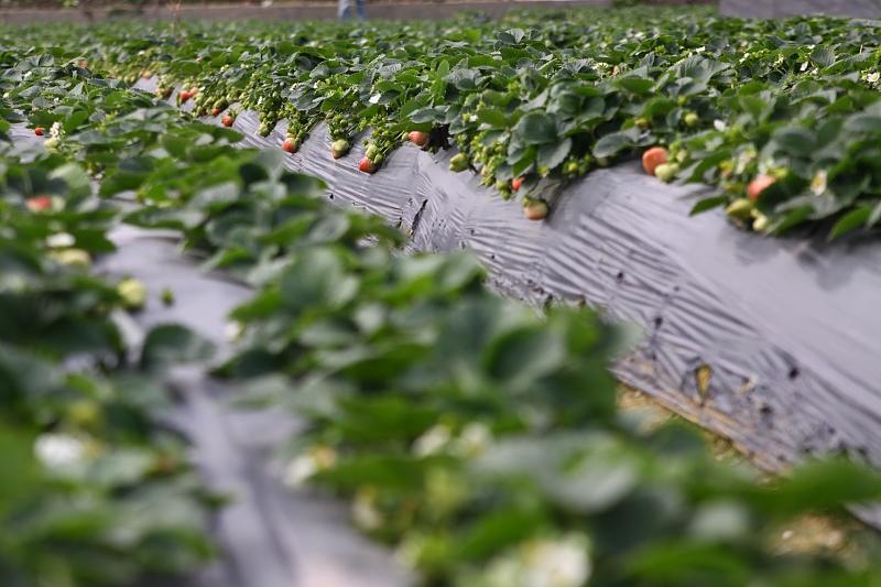 湖北最新封鎖，科技智能重塑防線，守護(hù)生活安全