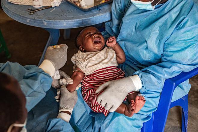 本土感染最新情況，自然美景中的探索之旅