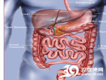 高科技產品重塑生活，體驗前沿魅力，探索腸鳴最新技術