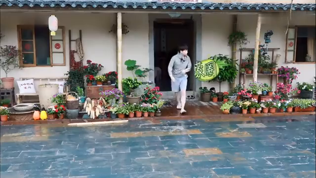 最新蘑菇屋，自然與生活完美融合的夢幻之地