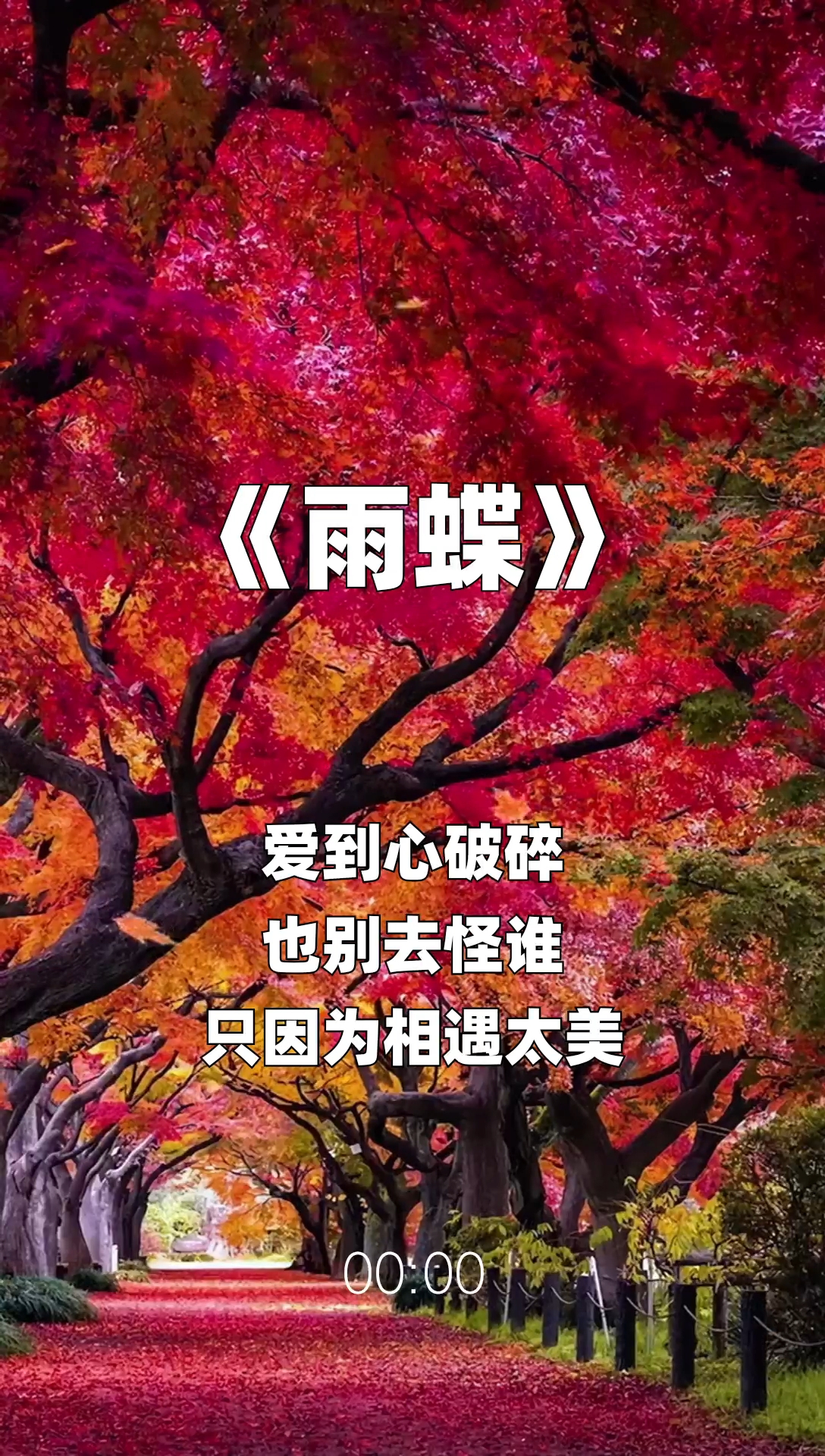 雨蝶最新步驟指南，如何完成任務(wù)或?qū)W習(xí)技能？