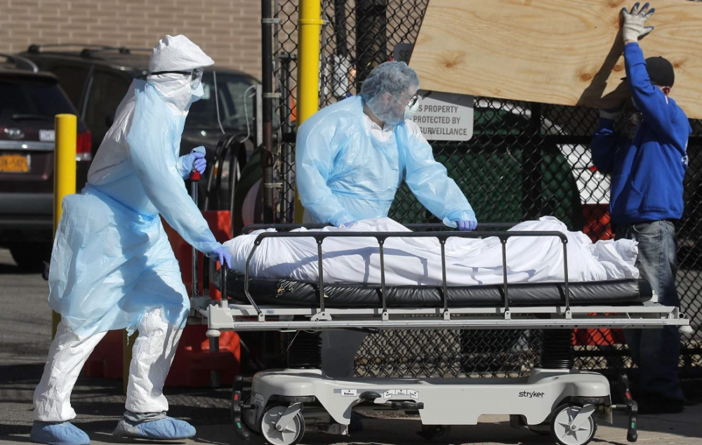 最新疫情防護(hù)指南第55版，自我防護(hù)與應(yīng)對(duì)任務(wù)的關(guān)鍵策略