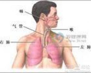 咸豐肺炎最新全面指南與詳解，癥狀、治療、步驟解析