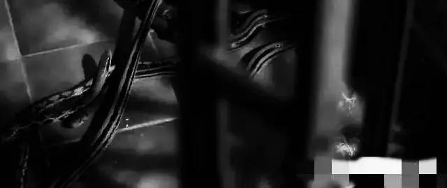 香港最新房價趨勢展望，2025年分析與展望