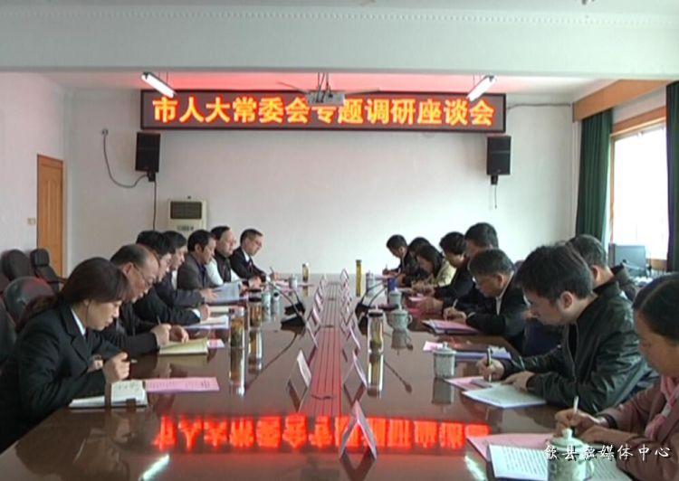 安徽歙縣最新動(dòng)態(tài)，小巷深處的驚喜