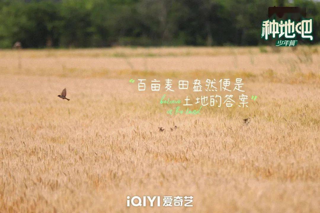 種地吧最新語(yǔ)錄，探索未來(lái)農(nóng)業(yè)的高科技魅力