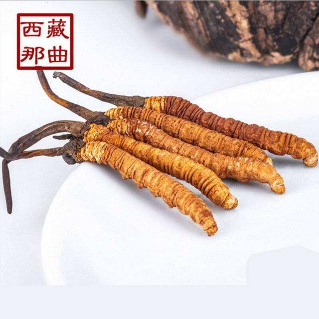 揭秘2025年蟲草最新價格，探尋小巷中的秘密行情！