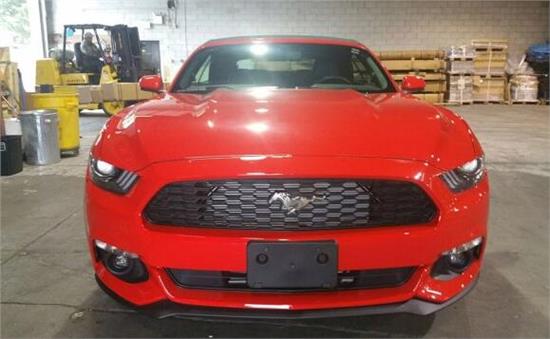 威路德最新款，小巷中的驚喜發(fā)現(xiàn)