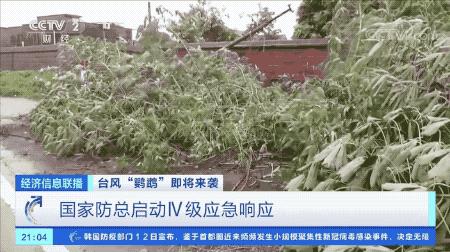 超強臺風鸚鵡來襲，最新路徑動態(tài)全解析???