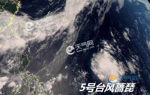 最新實時臺風風力查詢指南，風力信息及查詢步驟全解析