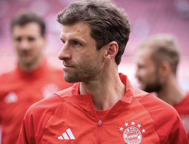 慕尼黑最新動態(tài)，城市生活的溫馨日常