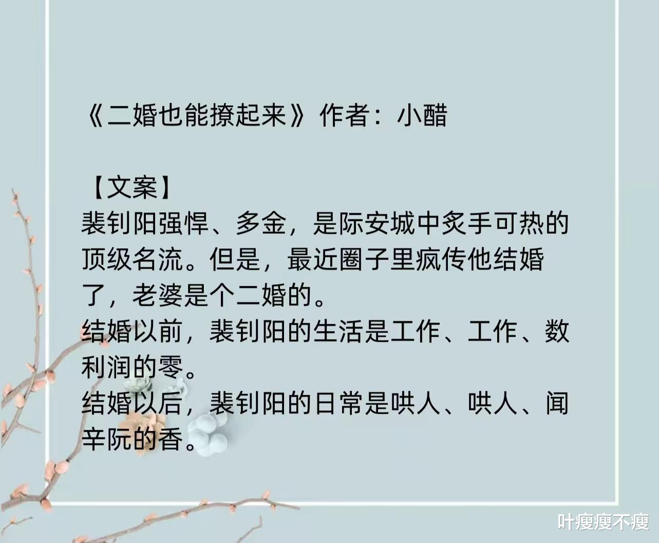 最新二婚小說，小巷深處的浪漫故事