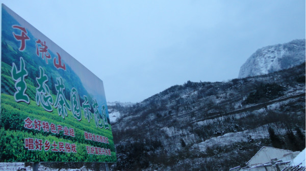 千佛山綿陽最新探索，巷弄深處的獨特風味之旅