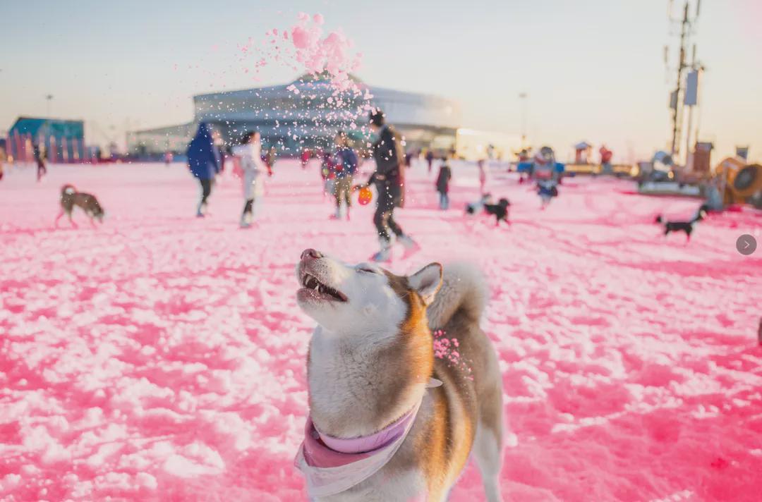 小信的世界最新科技前沿產(chǎn)品亮相，生活變革從此刻啟程