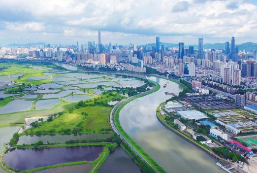 當(dāng)下流行語探尋之旅，與大自然共舞，尋找內(nèi)心平靜之旅